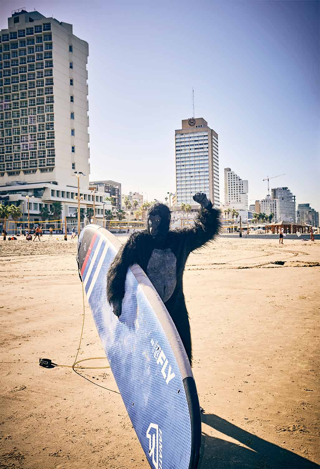 ideat magazin Tel Aviv surfer
