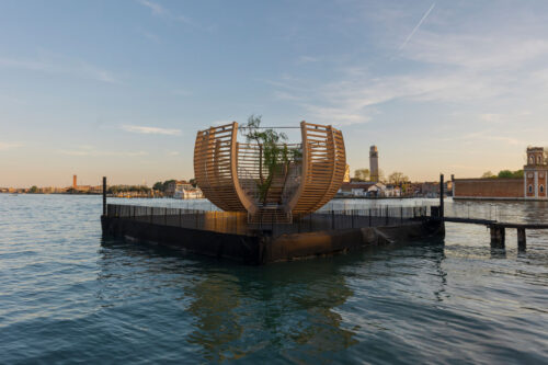 Arena for a Tree in Arsenale Venice 02