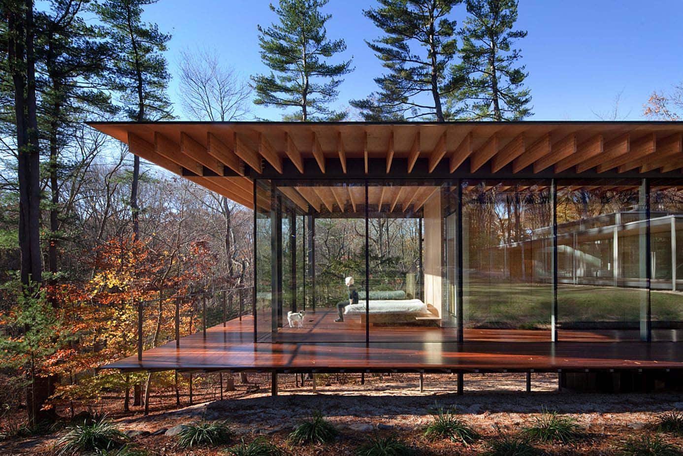 Glass Wood House © Scott Frances OTTO sm