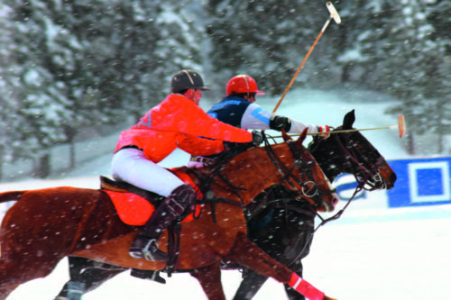 18 © Hal P Shutterstock