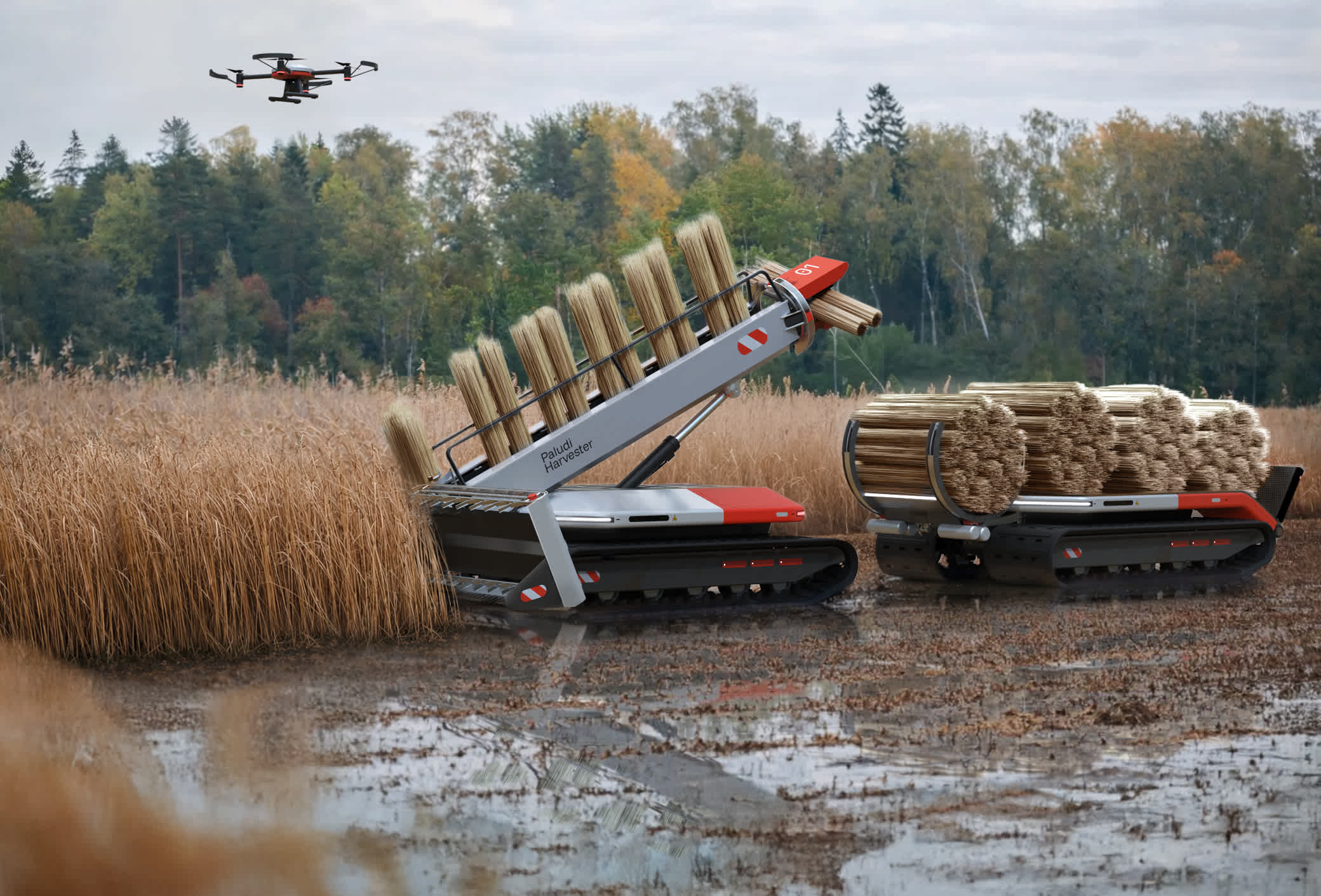 Niklas Henning Paludi Harvesters 2