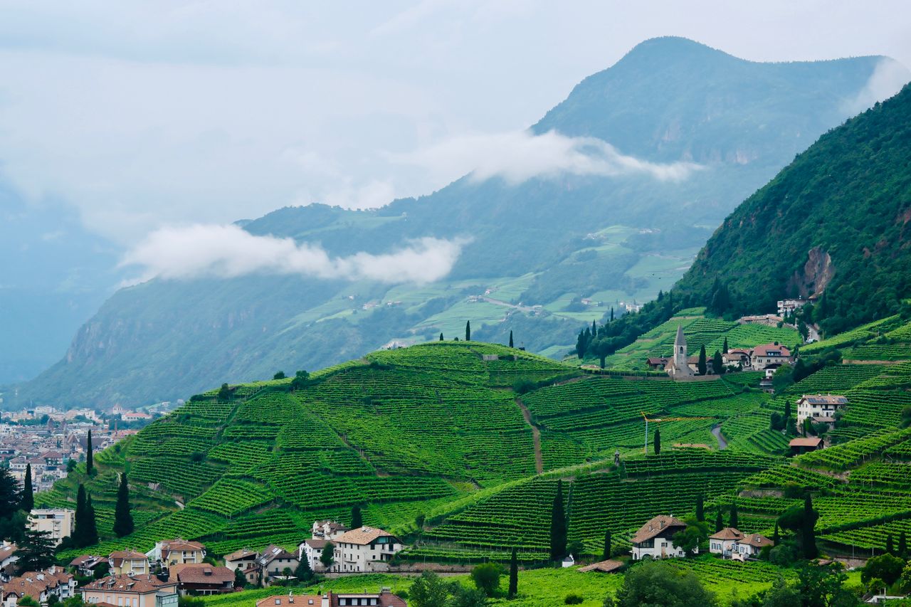 IDEAT Magazin 1 Südtirol